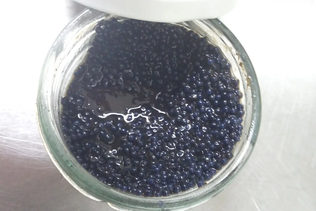 Category photograph illustrating Sturgeon Caviar Kaluga; not the exact retail product