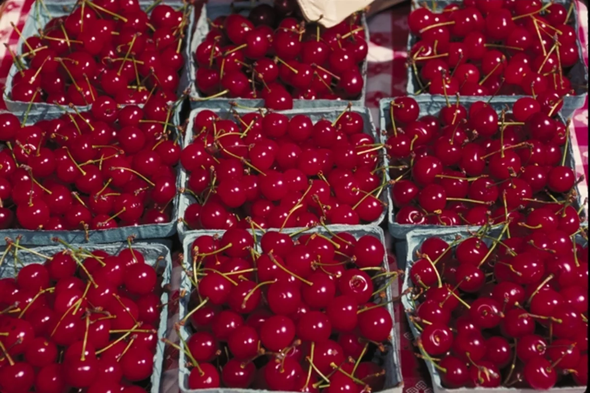 Category photograph illustrating Ruby Roman Grapes — Special Reserve; not the exact retail product