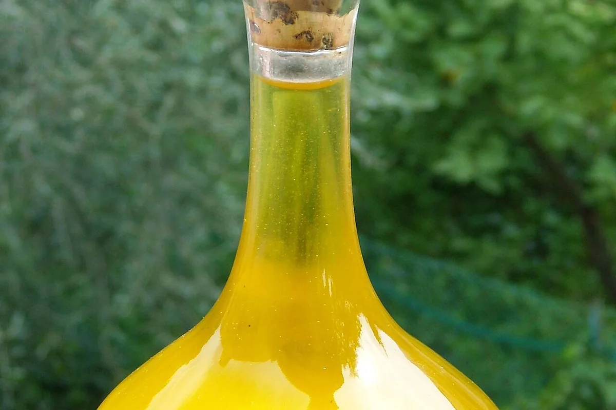 Category photograph illustrating Muraglia Intense Fruity Extra Virgin Olive Oil; not the exact retail product
